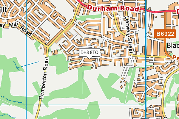 DH8 8TQ map - OS VectorMap District (Ordnance Survey)