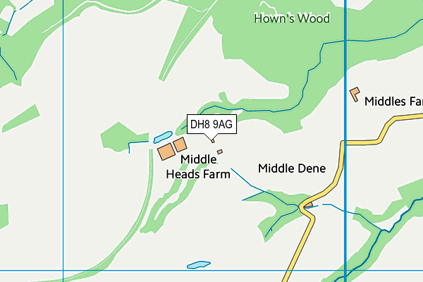 DH8 9AG map - OS VectorMap District (Ordnance Survey)