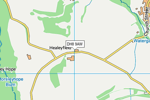 DH8 9AW map - OS VectorMap District (Ordnance Survey)