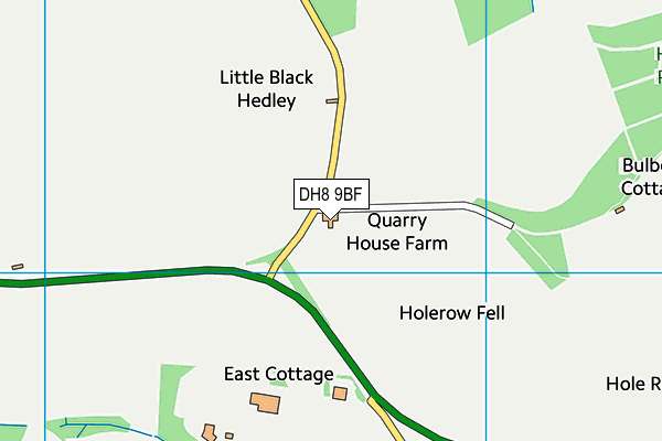 DH8 9BF map - OS VectorMap District (Ordnance Survey)