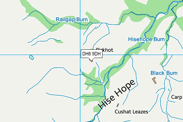 DH8 9DH map - OS VectorMap District (Ordnance Survey)