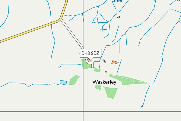 DH8 9DZ map - OS VectorMap District (Ordnance Survey)