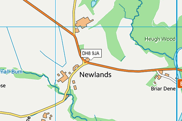 DH8 9JA map - OS VectorMap District (Ordnance Survey)