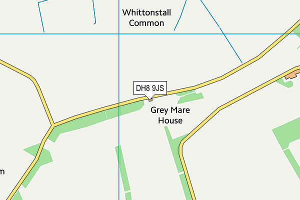 DH8 9JS map - OS VectorMap District (Ordnance Survey)