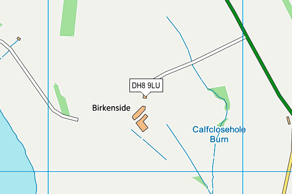 DH8 9LU map - OS VectorMap District (Ordnance Survey)