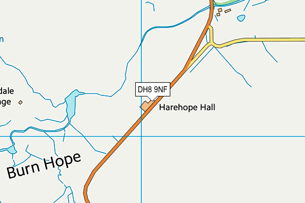 DH8 9NF map - OS VectorMap District (Ordnance Survey)