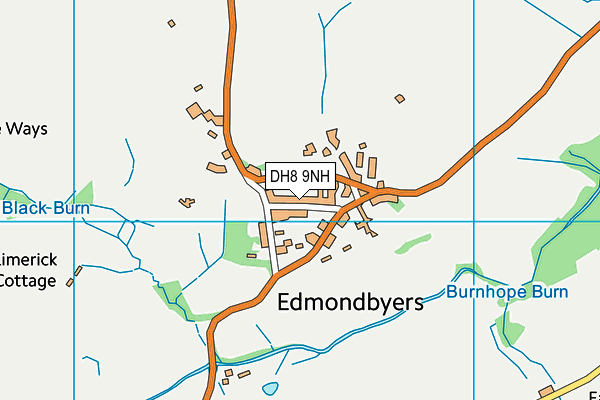 DH8 9NH map - OS VectorMap District (Ordnance Survey)