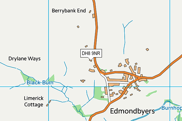 DH8 9NR map - OS VectorMap District (Ordnance Survey)