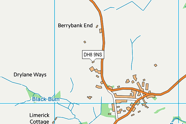 DH8 9NS map - OS VectorMap District (Ordnance Survey)