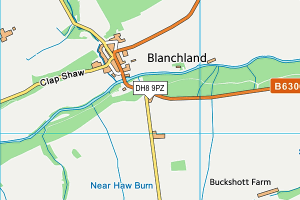 DH8 9PZ map - OS VectorMap District (Ordnance Survey)