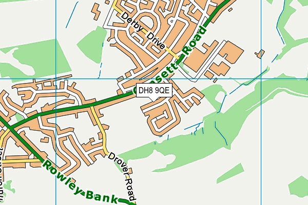 DH8 9QE map - OS VectorMap District (Ordnance Survey)