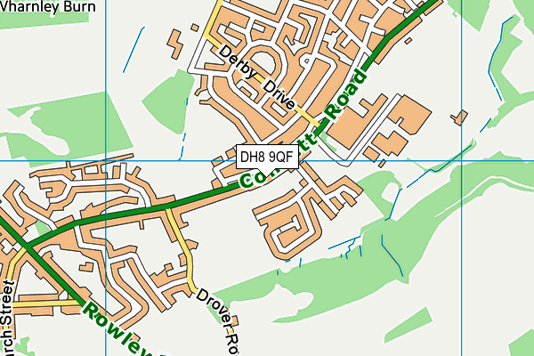 DH8 9QF map - OS VectorMap District (Ordnance Survey)