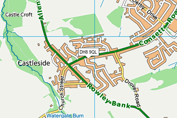 DH8 9QL map - OS VectorMap District (Ordnance Survey)