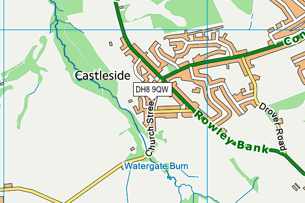 DH8 9QW map - OS VectorMap District (Ordnance Survey)