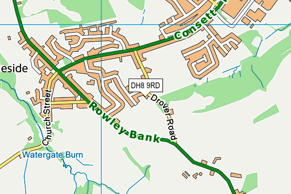 DH8 9RD map - OS VectorMap District (Ordnance Survey)