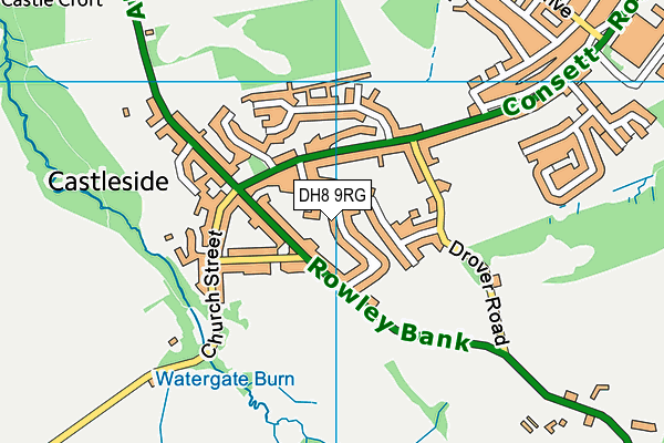 Castleside Primary School map (DH8 9RG) - OS VectorMap District (Ordnance Survey)