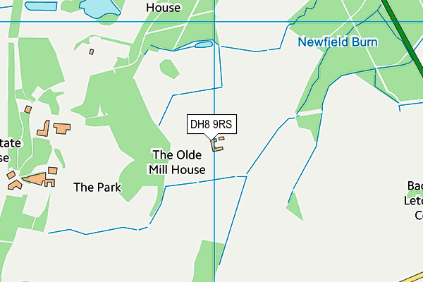 DH8 9RS map - OS VectorMap District (Ordnance Survey)