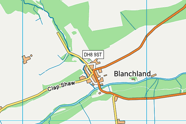 DH8 9ST map - OS VectorMap District (Ordnance Survey)