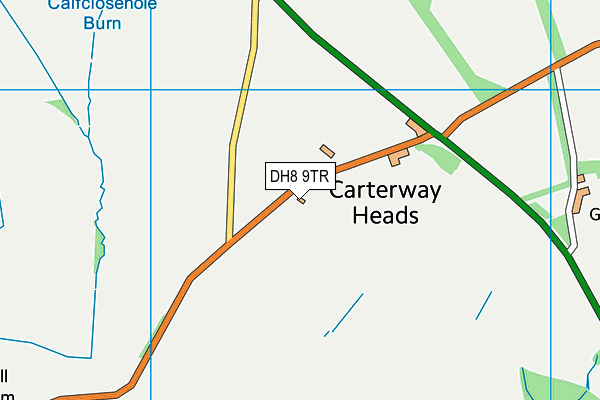DH8 9TR map - OS VectorMap District (Ordnance Survey)