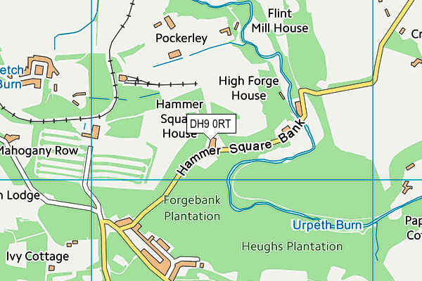DH9 0RT map - OS VectorMap District (Ordnance Survey)