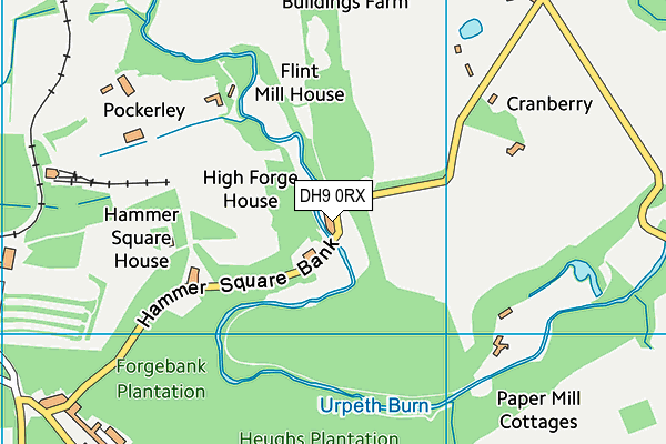DH9 0RX map - OS VectorMap District (Ordnance Survey)