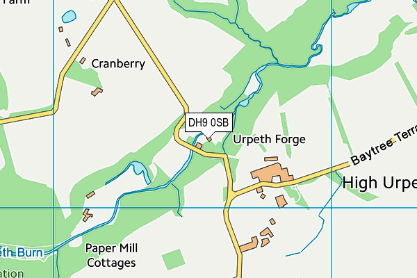 DH9 0SB map - OS VectorMap District (Ordnance Survey)