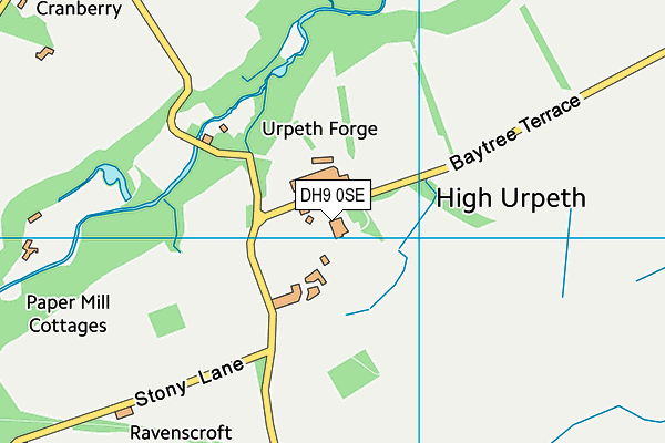 DH9 0SE map - OS VectorMap District (Ordnance Survey)