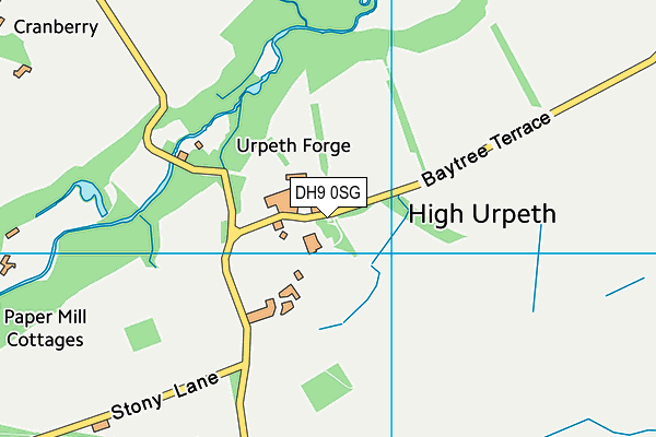 DH9 0SG map - OS VectorMap District (Ordnance Survey)