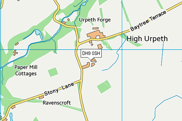 DH9 0SH map - OS VectorMap District (Ordnance Survey)