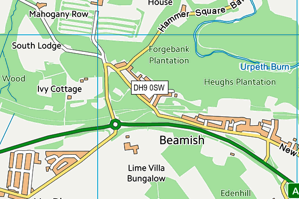 DH9 0SW map - OS VectorMap District (Ordnance Survey)