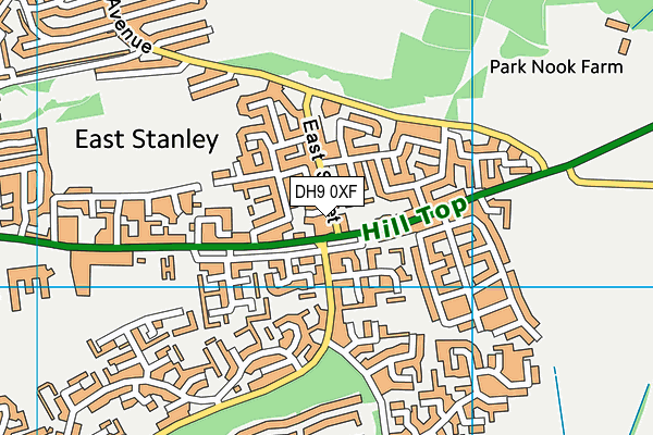 DH9 0XF map - OS VectorMap District (Ordnance Survey)
