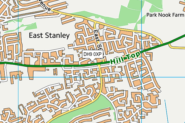 DH9 0XP map - OS VectorMap District (Ordnance Survey)