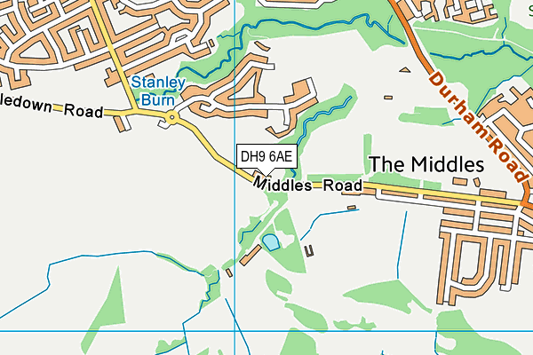 DH9 6AE map - OS VectorMap District (Ordnance Survey)