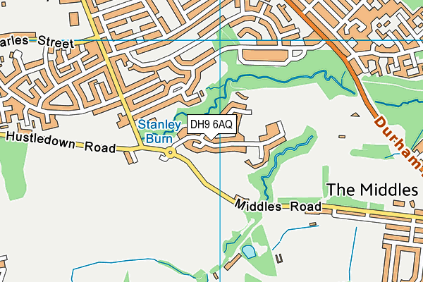 DH9 6AQ map - OS VectorMap District (Ordnance Survey)