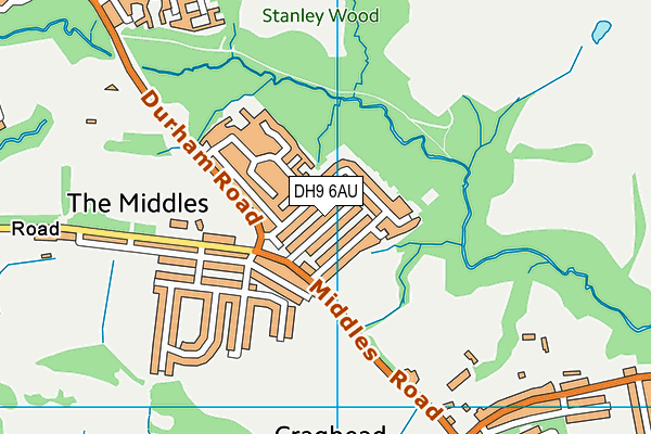 DH9 6AU map - OS VectorMap District (Ordnance Survey)