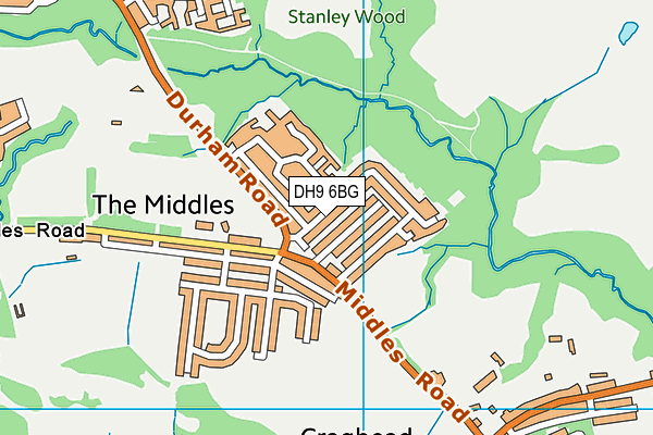 DH9 6BG map - OS VectorMap District (Ordnance Survey)