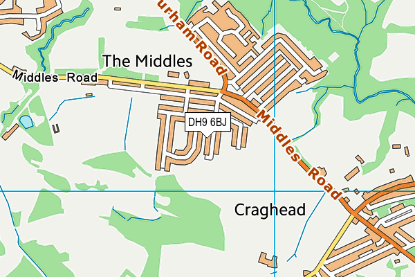 DH9 6BJ map - OS VectorMap District (Ordnance Survey)