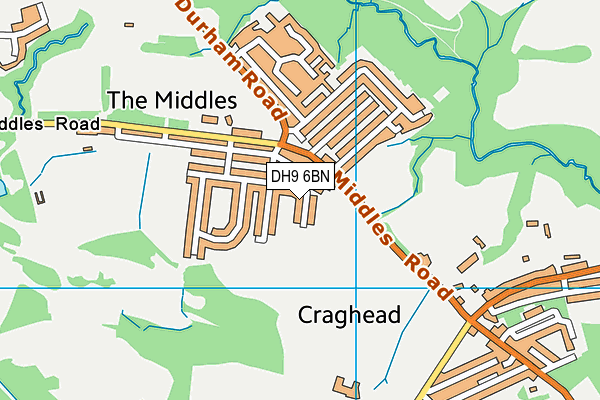 DH9 6BN map - OS VectorMap District (Ordnance Survey)