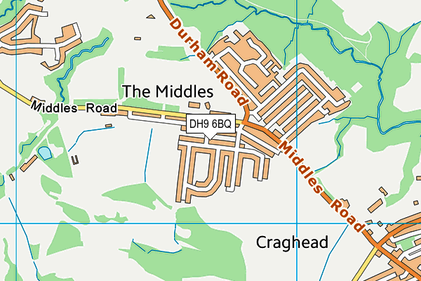 DH9 6BQ map - OS VectorMap District (Ordnance Survey)
