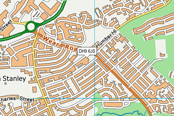 DH9 6JS map - OS VectorMap District (Ordnance Survey)