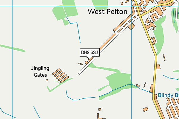 DH9 6SJ map - OS VectorMap District (Ordnance Survey)