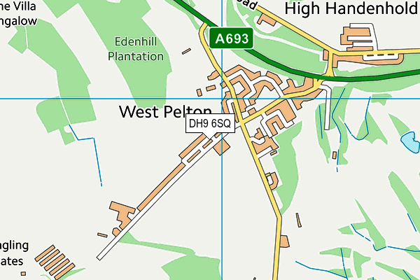 West Pelton Primary School map (DH9 6SQ) - OS VectorMap District (Ordnance Survey)