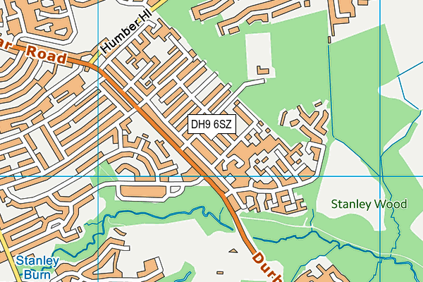 DH9 6SZ map - OS VectorMap District (Ordnance Survey)