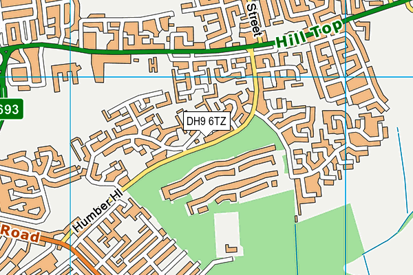 DH9 6TZ map - OS VectorMap District (Ordnance Survey)