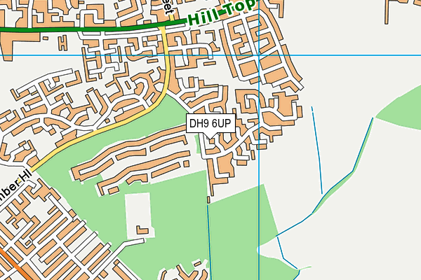 DH9 6UP map - OS VectorMap District (Ordnance Survey)