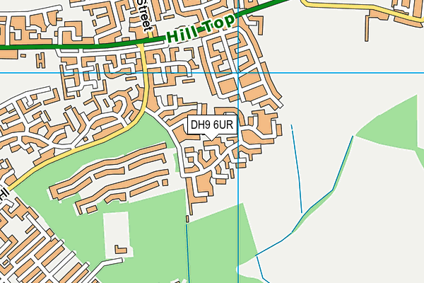 DH9 6UR map - OS VectorMap District (Ordnance Survey)