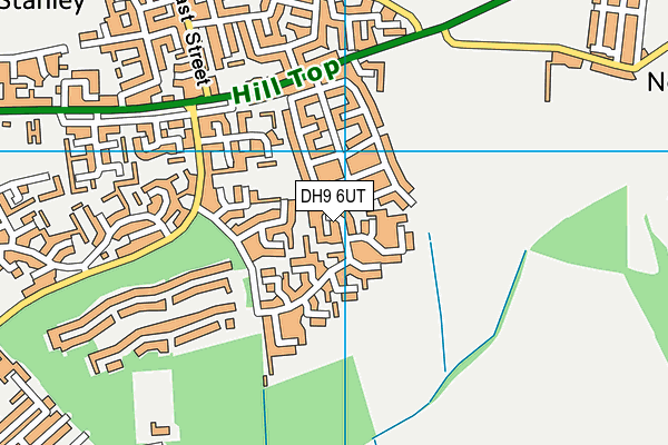 DH9 6UT map - OS VectorMap District (Ordnance Survey)