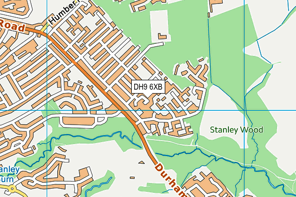 DH9 6XB map - OS VectorMap District (Ordnance Survey)