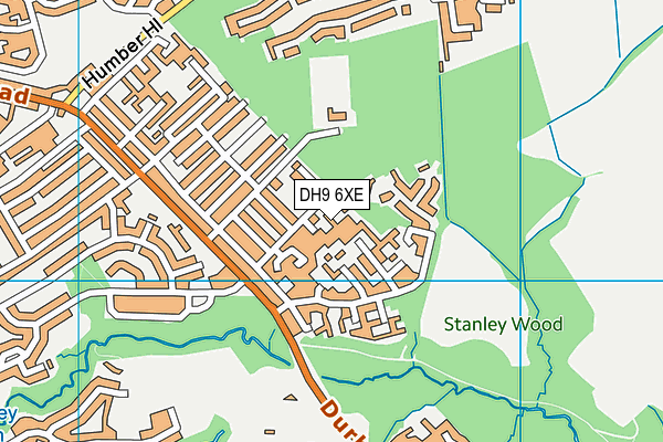 DH9 6XE map - OS VectorMap District (Ordnance Survey)