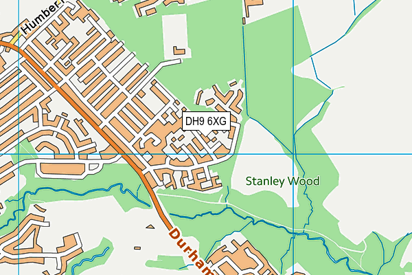 DH9 6XG map - OS VectorMap District (Ordnance Survey)